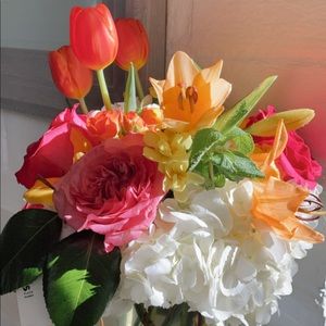 Meet your Posher, Lilliana